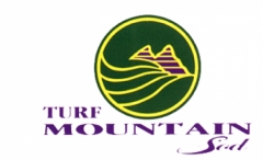 Turf Mountain Sod